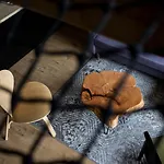 Hébergement de vacances Panorama / Tinyhouse *